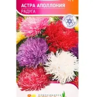 Семена Астра Аполлония Радуга 0,3 г Семена Астра Аполлония Радуга 0,3 г