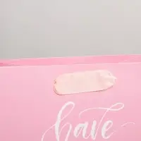 Пакет подарочный ламинированный, упаковка, &laquo;Have a nice day&raquo;, MS 18&times;23&times;10 см