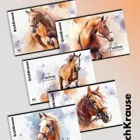 Альбом для рисования А4 ErihKrause Wild Mane, 40 листов, на скобе, МИКС