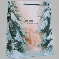 Пакет подарочный &laquo;Зима - время чудес&raquo;, 26&times;12&times;32 см
