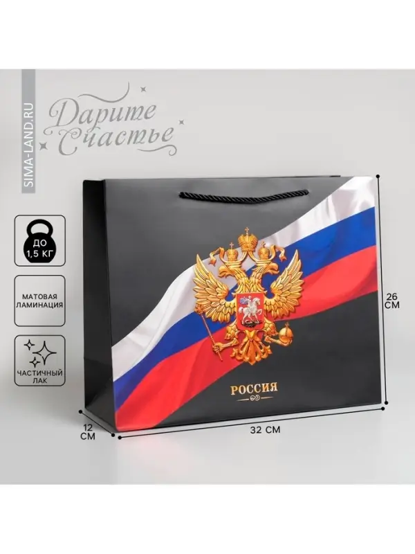 Пакет подарочный, упаковка, &laquo;Россия&raquo;, 32&times;26&times;12 см