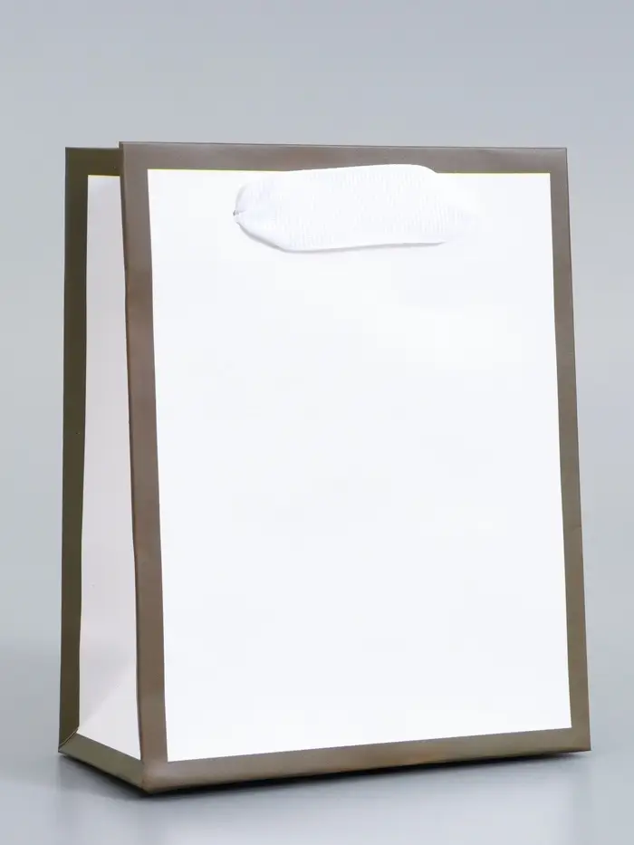 Пакет подарочный, упаковка, &laquo;Белый&raquo;, 15&times;12&times;5.5 см