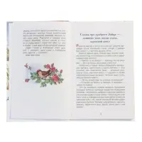 Серая Шейка. Аленушкины сказки. Мамин-Сибиряк Д. Н. (ВЧ)