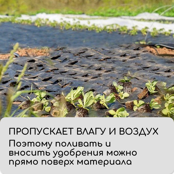 Агроткань застилочная, с разметкой, 5 × 3,2 м, плотность 100 г/м², полипропилен, Greengo, Эконом 50%