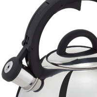 Чайник Kettle ss induction N4180317, для всех видов плит