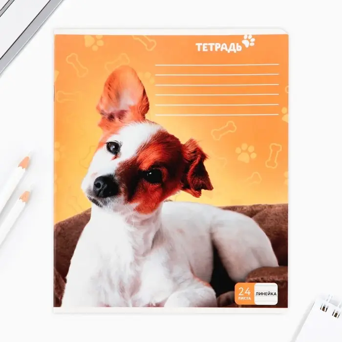 Тетрадь в линейку, 24 листа, А5, на скрепке, блок №1 &laquo;Милые питомцы&raquo; МИКС