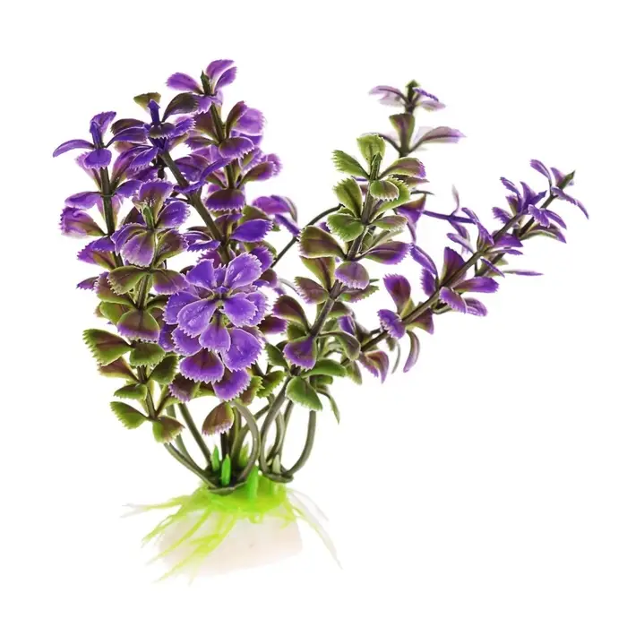 Набор растений для аквариума и террариума - 2 шт., 10 см