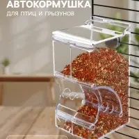 Автокормушка для птиц и грызунов &laquo;Пижон&raquo;, 7&times;8&times;14 см, прозрачная
