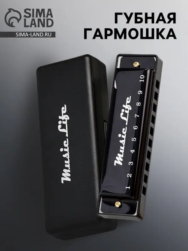Губная гармошка Music Life, диатоническая, C-major, с футляром, черная