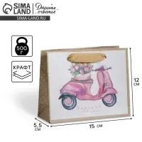 Пакет подарочный крафтовый, упаковка, «Present for you», 15 х 12 х 5.5 см