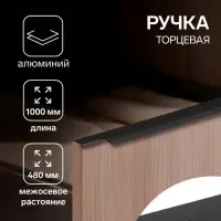Ручка профильная мебельная торцевая CAPPIO RP100BL, L=1000 мм, чёрная
