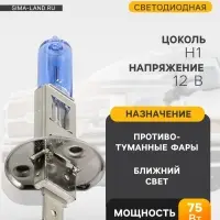 Лампа автомобильная AVS SPECTRAS Xenon 5000K, H1, 12 В, 75 Вт, + T10, набор 2 шт.
