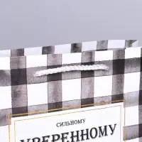 Пакет подарочный ламинированный, упаковка, &laquo;Сильному&raquo;, MS 23&times;18&times;8 см