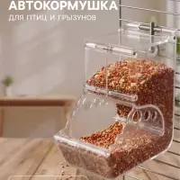 Автокормушка для птиц и грызунов &laquo;Пижон&raquo;, 12.8&times;7&times;14 см, прозрачная