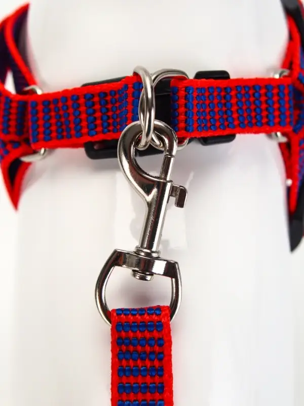 Комплект амуниции рельефный, поводок 120&times;1.5 см, ОГ 36-49 см, красно-синий