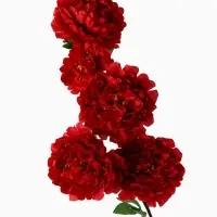 Цветы искусственные &laquo;Пион кустовой&raquo;, 5 бутонов, 15&times;110 см, красные