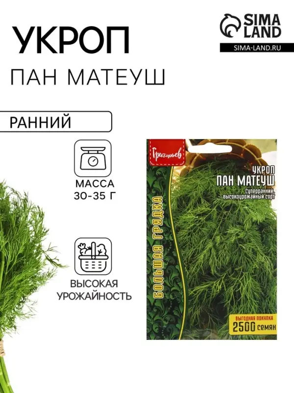Семена Укроп &laquo;Пан Матеуш&raquo; быстроотрастающий, 2500 шт., &laquo;Григорьев&raquo;