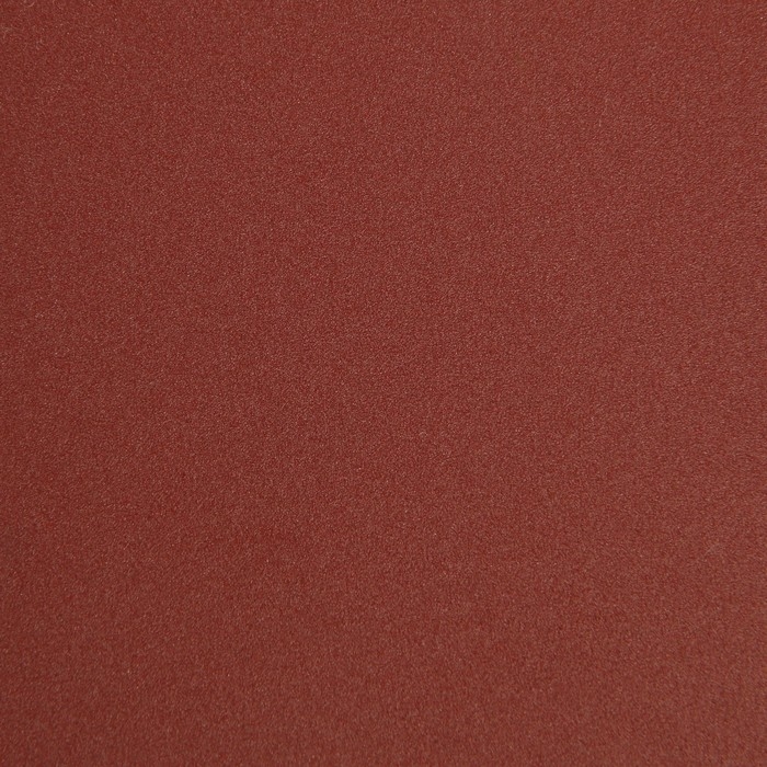 Круг абразивный шлифовальный под  Круг абразивный шлифовальный под "липучку" ТУНДРА, 125 мм, Р320, 10 шт.