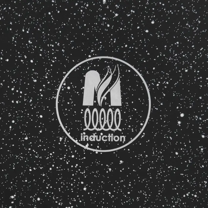 Сковорода Мечта &laquo;Гранит Black&raquo; Induction Pro, d=26 см, h=6 см, пластиковая ручка, антипригарное покрытие, индукция, литой алюминий, чёрная