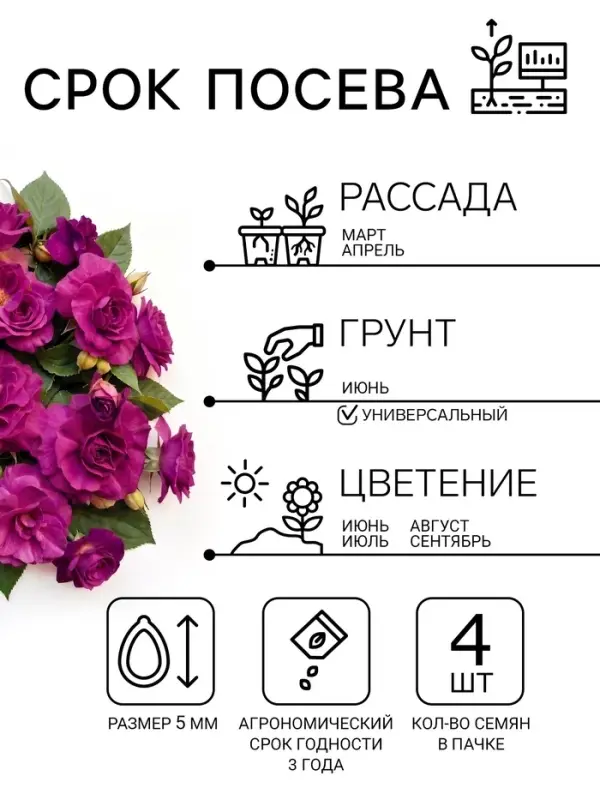 Семена цветов Бальзамин Уоллера «Искушение светло-пурпурное» F1, однолетник, 4 шт., «Гавриш» Семена цветов Бальзамин Уоллера «Искушение светло-пурпурное» F1, однолетник, 4 шт., «Гавриш»