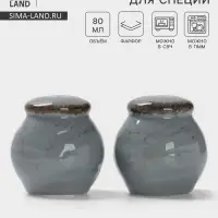 Набор для специй Magistro Alpine Frost, 2 предмета: перечница, солонка, 80 мл, 5&times;6 см, фарфор, голубовато-серый