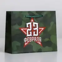 Пакет подарочный ламинированный, упаковка, «С 23 февраля», S 15 х 12 х 5.5 см