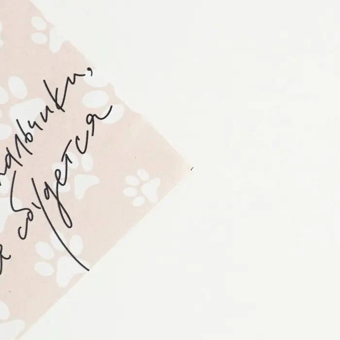 Бумага упаковочная глянцевая «Котики», 70 х 100 см