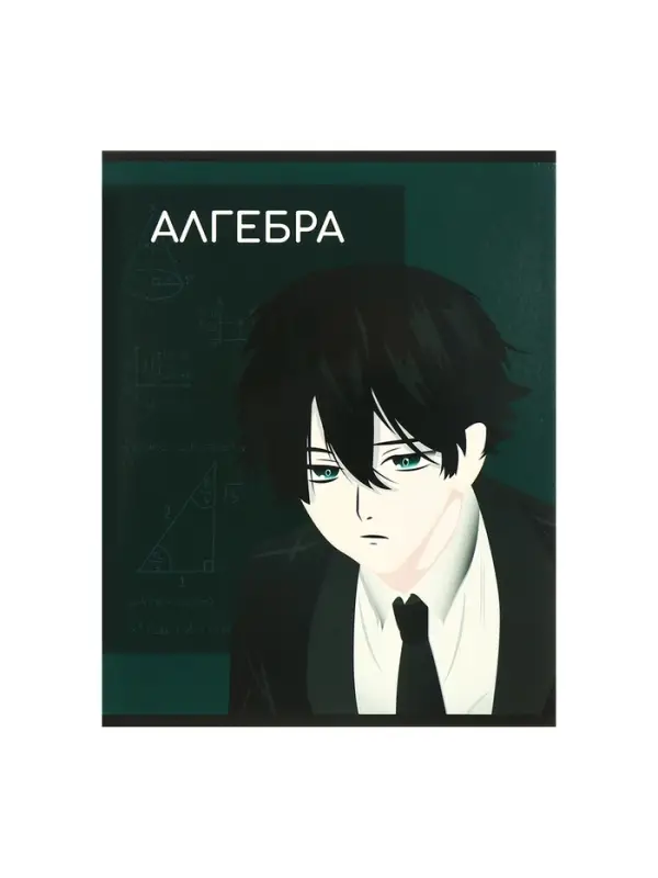 Набор предметных тетрадей Calligrata TOP &laquo;Аниме&raquo;, 10 предметов, 48 листов, со справочным материалом, обложка из мелованного картона