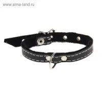 Ошейник тисненый на фетре, 30&times;1.2 см, кожа, цвет МИКС