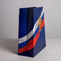 Пакет подарочный, упаковка, &laquo;Россия&raquo;, 25&times;32&times;12 см