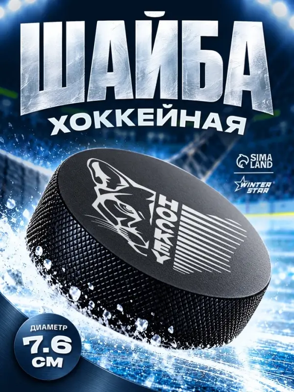 Шайба хоккейная Winter Star, взрослая, d=7.6 см