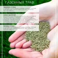 Газонная травосмесь &laquo;Быстрый газон&raquo;, 1 кг