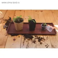 Поддон для рассады, 48&times;14&times;2 см, пластик, цвет МИКС