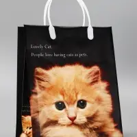 Пакет &laquo;Котенок&raquo;, мягкий пластик, 26&times;23 см, 100 мкм