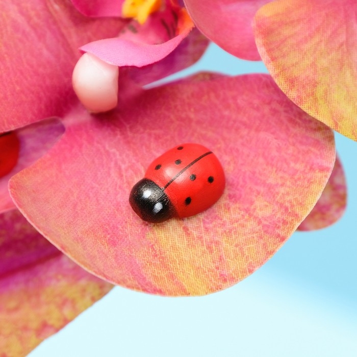 Декор флористический «Божьи коровки», 18 шт., 19 х 14 мм Декор флористический «Божьи коровки», 18 шт., 19 х 14 мм