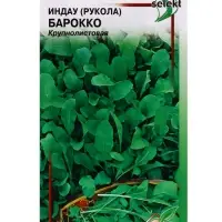 Семена Индау ( руккола ) Барокко 250 шт