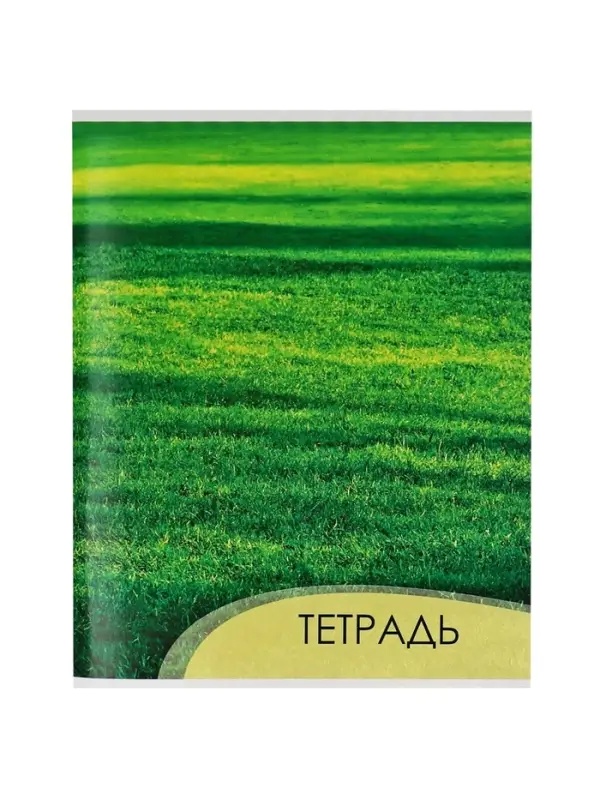 Тетрадь 96 листов в клетку, Calligrata &laquo;Текстура 2&raquo;, МИКС