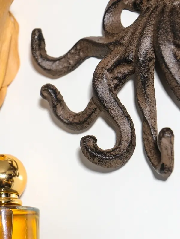 Крючки настенные &laquo;Осьминог&raquo;, ключница декоративная, чугун, 16&times;3&times;19 см