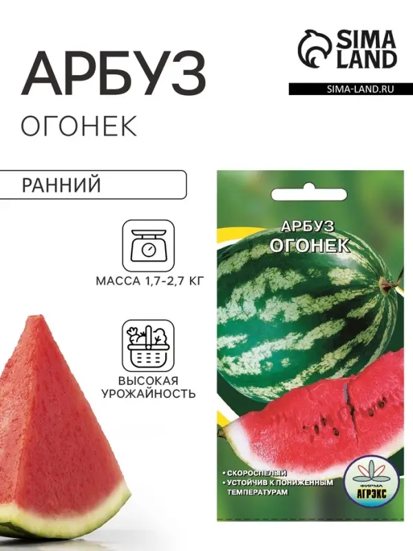 Семена Арбуз &laquo;Огонек&raquo;, 10 шт., скороспелый, &laquo;Агрэкс&raquo;