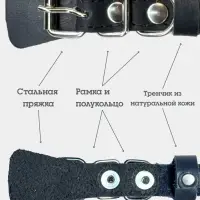 Ошейник, 35&times;1.5 см, с подкладом и светоотражающей лентой, кожа, чёрный