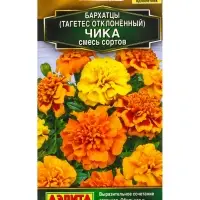 Семена цветов Бархатцы Чика отклоненные, смесь сортов С. Hem Genetics Золотая серия, Ц/П,7 шт. 1094 Семена цветов Бархатцы Чика отклоненные, смесь сортов С. Hem Genetics Золотая серия, Ц/П,7 шт. 1094