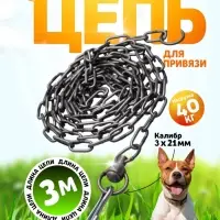 Цепь для привязи собак, 3 м, калибр 3&times;21 мм, черная