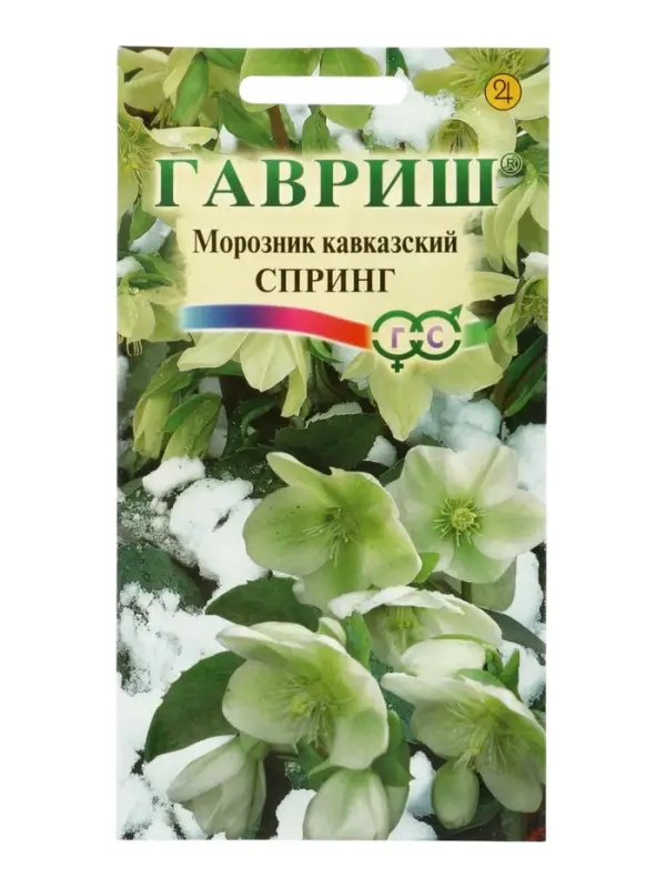 Семена цветов Морозник кавказский Спринг (лимонно-зеленый)* 0,1 г DHп