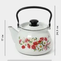 Чайник эмалированный &laquo;Астры&raquo;, 3 л, металлическая ручка, белый