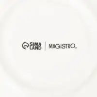 Чайная пара Magistro &laquo;Бланш&raquo;, чашка 250 мл, блюдце d=15.5 см, фарфор, белая