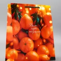 Пакет подарочный новогодний ламинированный, «Новогодние мандарины» , 26×12×32 см Пакет подарочный новогодний ламинированный, «Новогодние мандарины» , 26×12×32 см