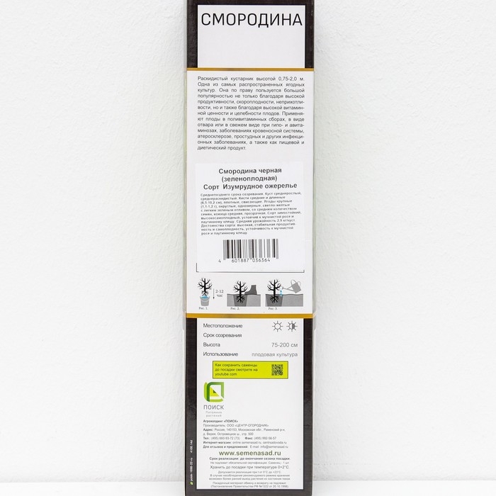 Смородина черная (зеленоплодные) «Изумрудное ожерелье», саженец, 1 шт., туба Смородина черная (зеленоплодные) «Изумрудное ожерелье», саженец, 1 шт., туба