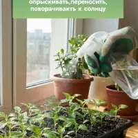 Кассета для рассады Greengo на 105 ячеек, по 20 мл, из пластика, чёрная, 55&times;29.5&times;3 см