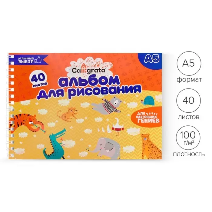 Альбом для рисования Calligrata А5, 40 листов на гребне, обложка мелованный картон, блок 100 г/м²