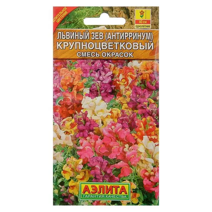 Семена цветов Львиный зев  Семена цветов Львиный зев "Крупноцветковый", смесь окрасок, О, 0,3 г